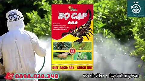 VUA BỌ CẠP 666  – ĐẶC TRỊ RẦY KHÁNG THUỐC - 0898.038.348 #vuabocap666