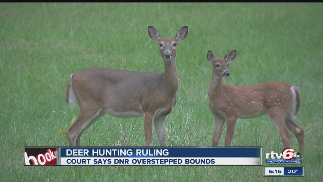Court rules state can't regulate fenced-in hunting preserves