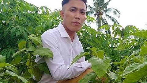 7 Environmental Principles