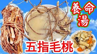 Hairy fig and fresh yam soup with euyale ferox and pork bones五指毛桃淮山茨實豬骨湯