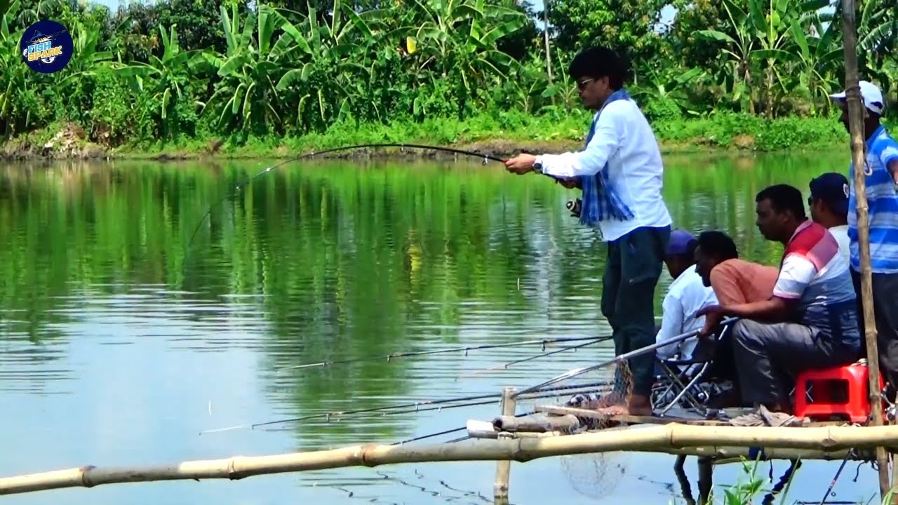 Live Fishing Videos In Village Fishing Spot YouTube