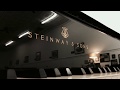 Hamburg Steinway & Sons Model D Concert Grand Piano