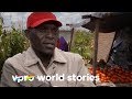 Economic chaos in Zimbabwe - Straight through Africa | VPRO Documentary