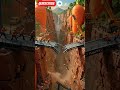 🥕 Tiny Engineers Trapped as a Giant Bridge Collapses!🌉 The Carrot Canyon Disaster Nobody Expected