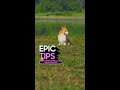 Epic Tips x Galaxy S24 Ultra: Make your pics bow WOW! | Samsung