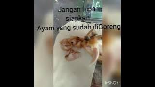 Cara Bikin Tewewew