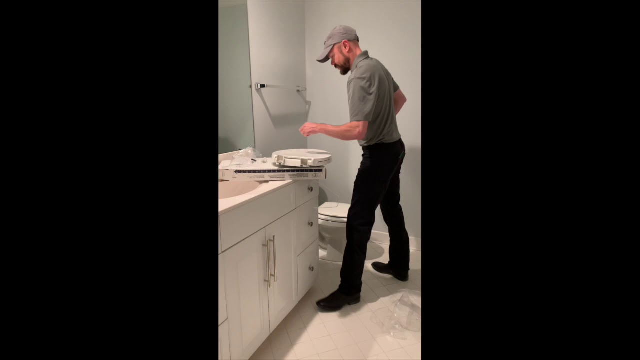Replace Toilet Seat YouTube