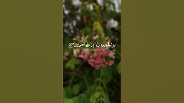 و استغفروا الله إن الله غفورٌ رحيم | سورة البقرة | صوت القارئ محمد هشام