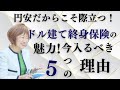 【円安だからこそ際立つ！】ドル建て終身保険に入るべき５つの理由【外資系金融20年のあちゃみんの円安・物価高時代の生き抜き戦略】＃ドル建終身保険 ＃ハッピーマネーアカデミー