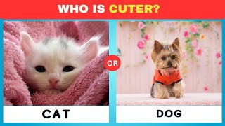 Pick One Kick One - Animals Edition 🐱🐶