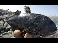 Fishing for monster gt with no boundaries oman