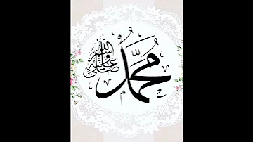 صلاة الله على من صدرة بالنور مشروح المصطفى محمد حبيب القلب والروح استوريات لاتنسوا الاشتراك والايك 