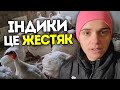 Чому розведення індиків не прибуткова діяльність в українському селі Життя в селі Чому розведення індиків не прибуткова діяльність в українському селі Життя в селі