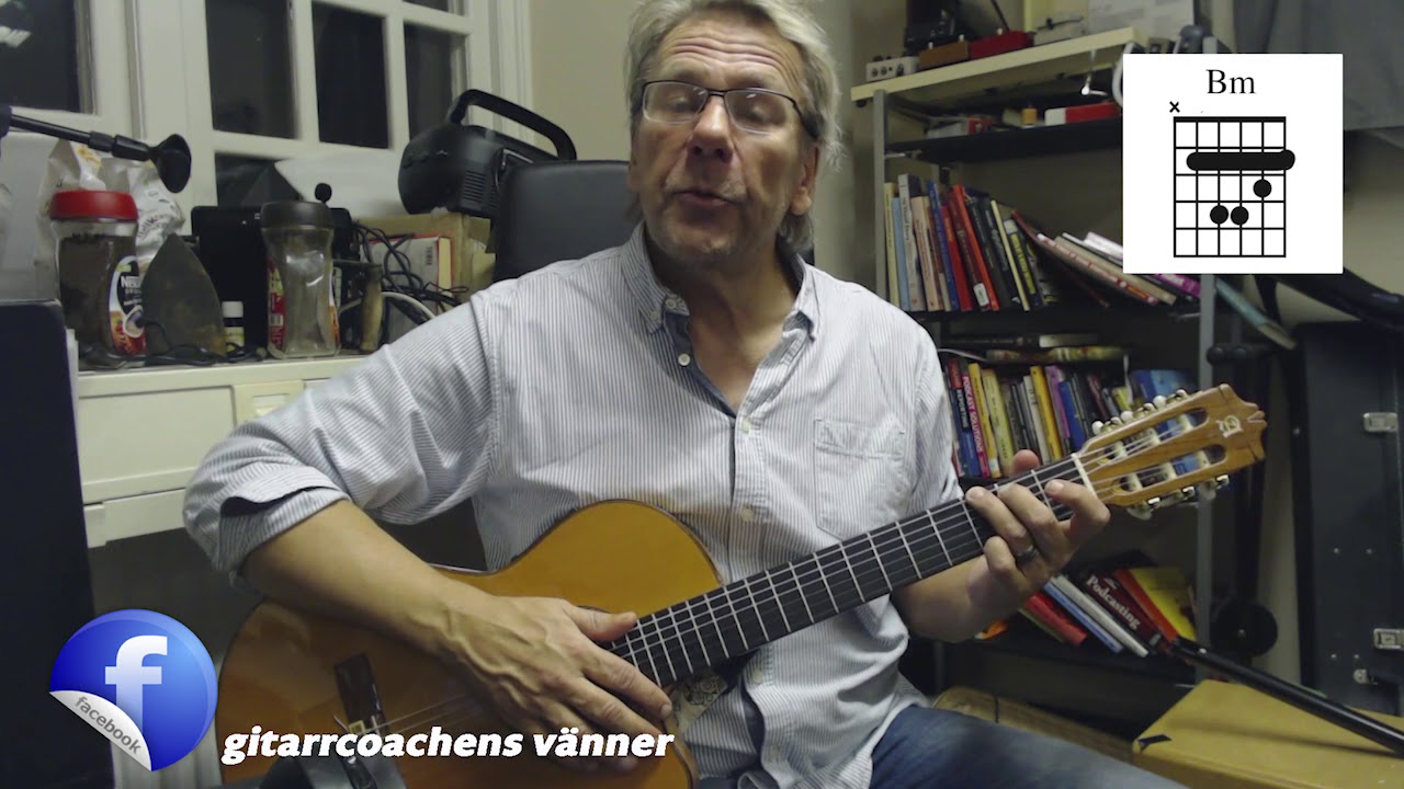 Lär Dig Spela Gitarr Nybörjare App