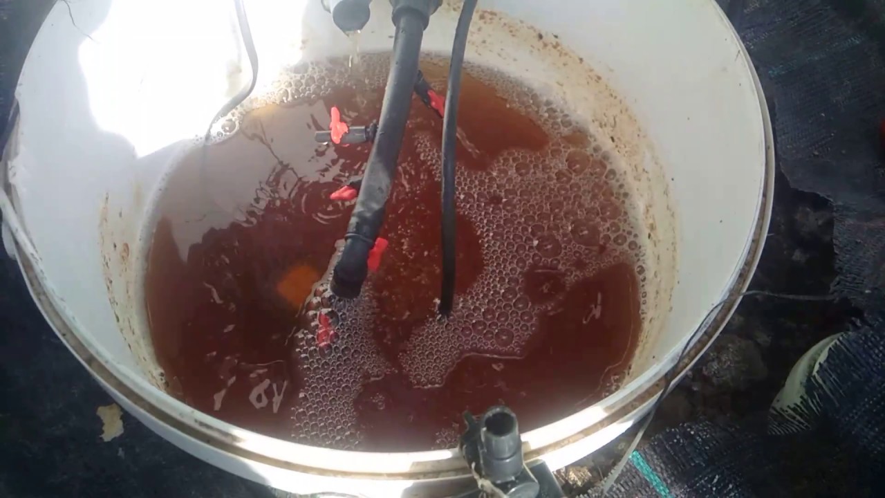 Topraksız Tarımda Beybek Gübre Denemesi