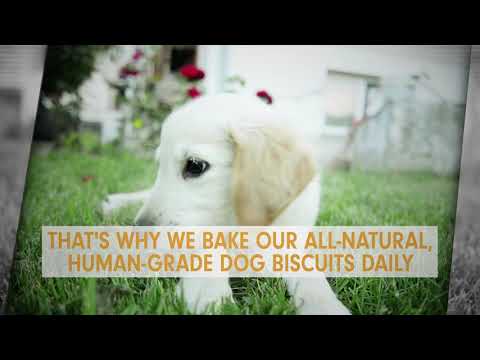 Homemade, Gourmet Dog Treats With Natural Ingredients