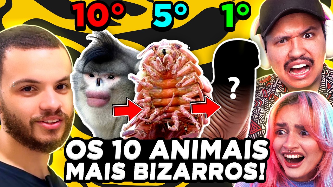 OS 10 ANIMAIS MAIS BIZARROS DESCOBERTOS RECENTEMENTE!