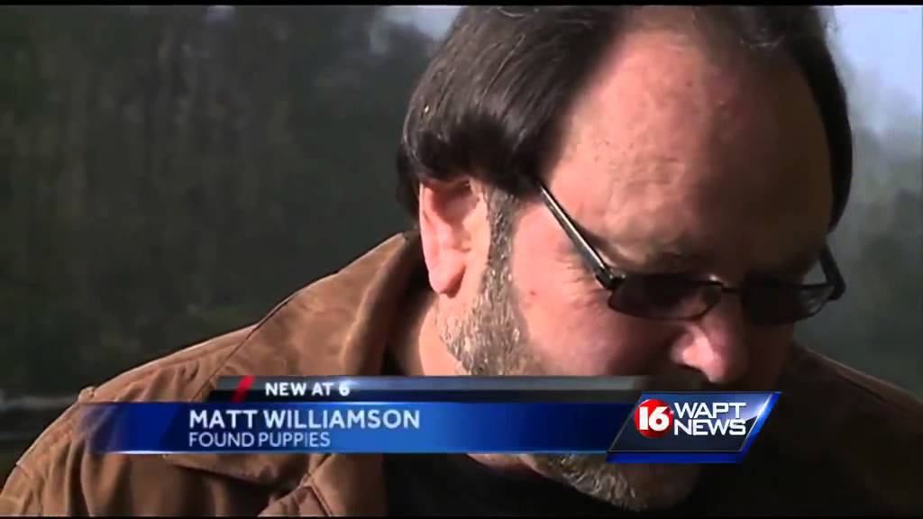 Man makes shocking discovery inside aquarium