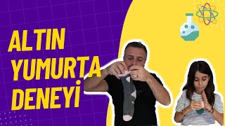 Altın Yumurta Yaptık Gerçek Mi? Sahte Mi?