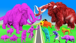 Zombie wholly Mammoth Lion  Rhinoceros Buffalo Bear VS Pink Ghost Wholly Mammoth Rhinoceros Fight