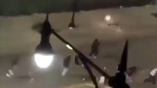 En Sevdiğim Meme Ama 10 Dakika Boyunca Sürüyor