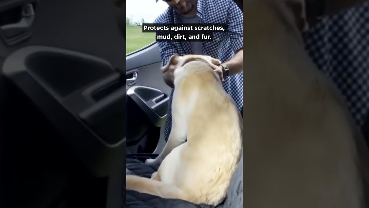 Snoozify™ Premium Pet Car Seat Cover