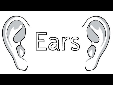 How to Draw Ears