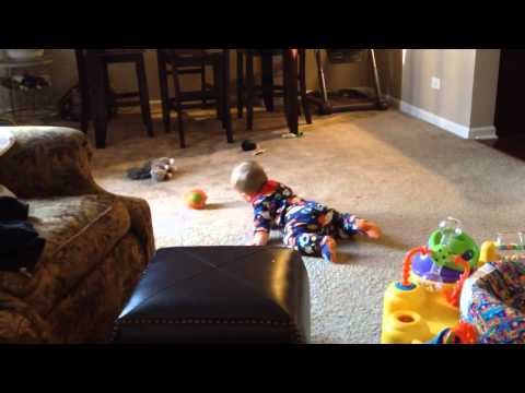 Dog steals toy from baby (Original)