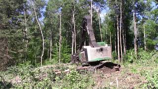 2008 TimberPro TN725B with a 2010 Rolly II Processing Head