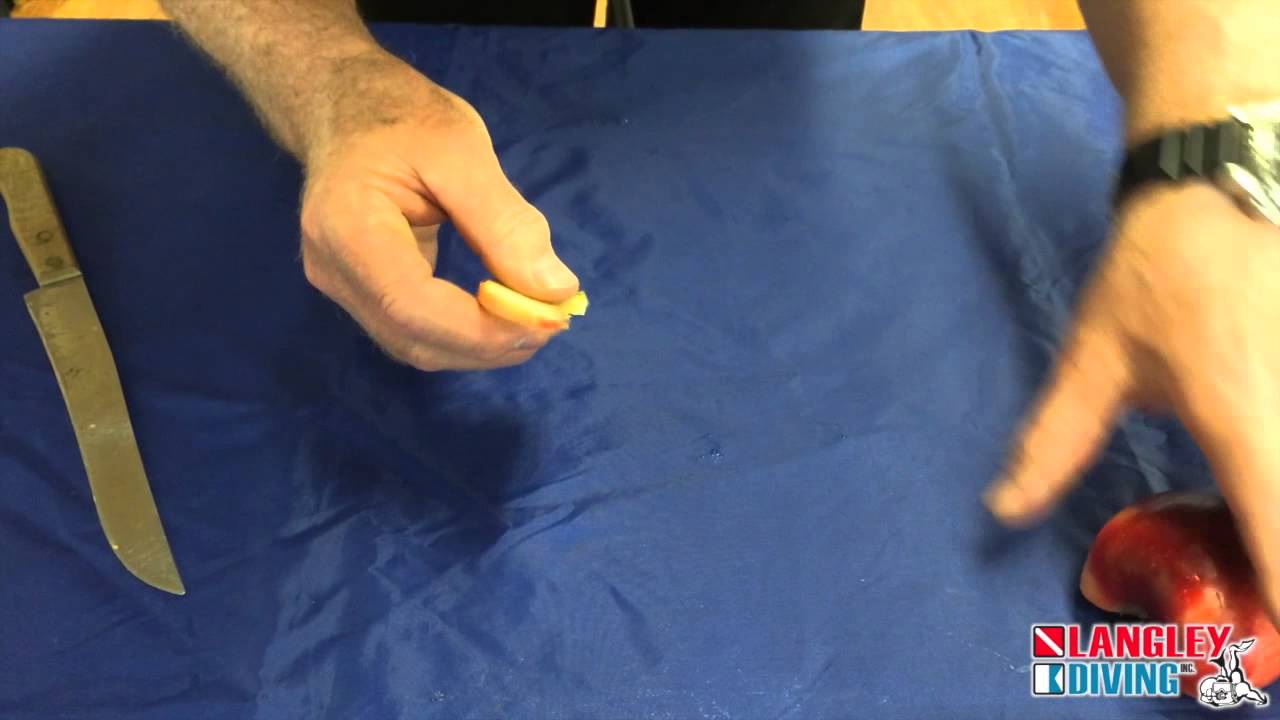 Langley Diving Dive Against Debris