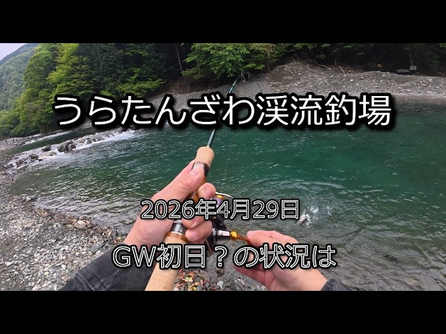 Anglo & company PGB4113 ( アングロアンドカンパニー ) - YouTube