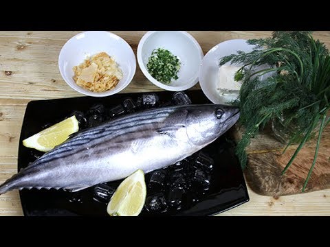 Palamita con robiola e aneto (La ricetta)