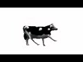польская корова танцует смотреть без смс и регистрации (проверка актива на канале)