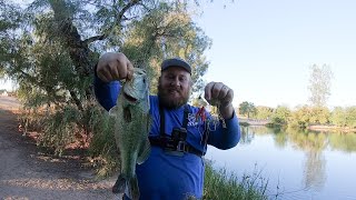 Fishing Topwater Baits For Fall Bass In This Urban Pond (Silverbell Lake, Tucson)