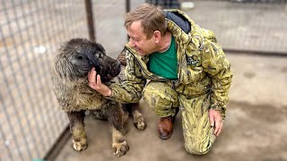 Эту больную собаку Олег Зубков не смог оставить в Донецке! ТЕПЕРЬ ОНА ДОМА!