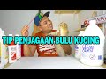 Tip penjagaan bulu kucing