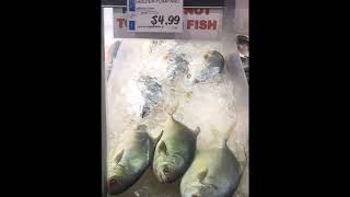 End of October Friday Afternoon Stroll Through H-Mart-Little Ferry-New Jersey