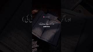 Surah Nisa Verse 176 Urdu Translation