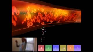 Kinect Blood Stream 2012