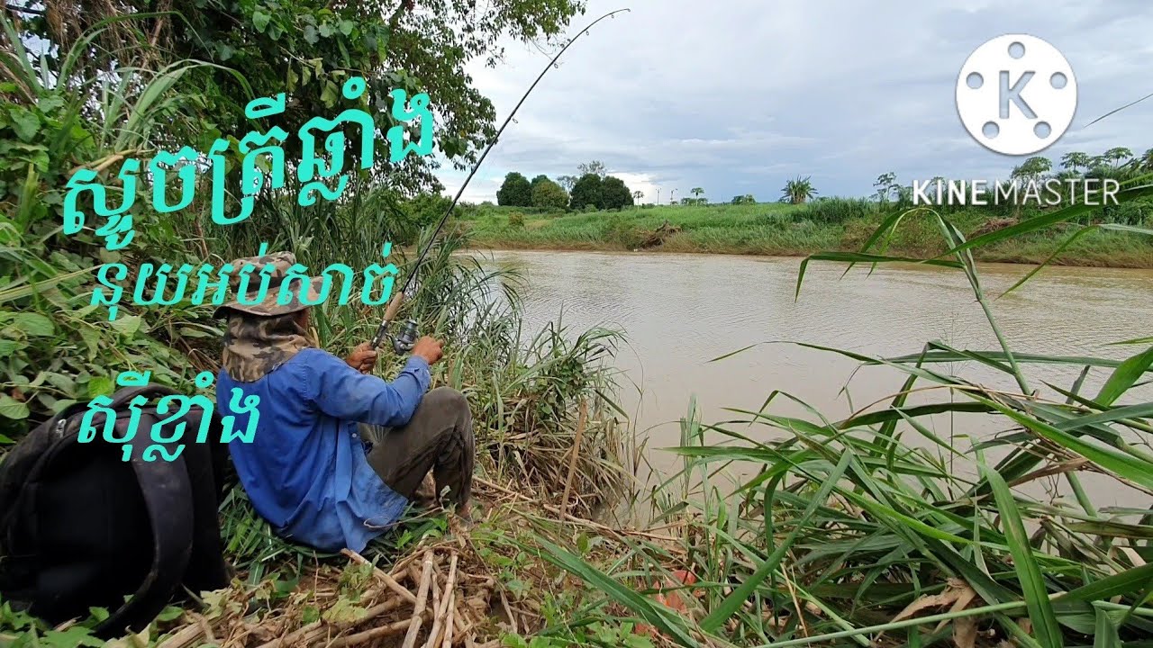 ស្ទូចត្រីឆ្លាំង ស៊ីខ្លាំងណាស់ FISHING Catfish YouTube