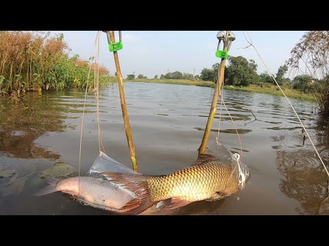 AMAZING FISHING TECHNIQUE, 400gm चा मासा पकडतांना तुटला 4000/- चा फिशिंग रॉड 😕