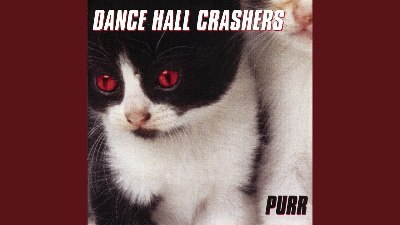 Watch Make Her Purr on YouTube Watch Make Her Purr on YouTube