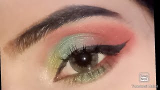 Colorfull Bridal Eyeshadow Tutorial brown smoke eye makeup/ vanizy screenshot 2