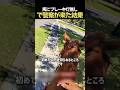 馬にブレーキランプ？警察が出動した衝撃の理由！ #Shorts #警察 #ほっこり @el_felipemora