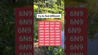 Try to find different (part 194) #brainteaser #search #find #puzzle