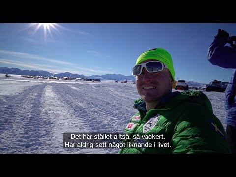 Video: Udtørringstolerance I Antarktis Mos Sanionia Uncinata