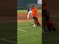 Dog brings umpire water. #amazingdog #dog #milb #batdog #baseball