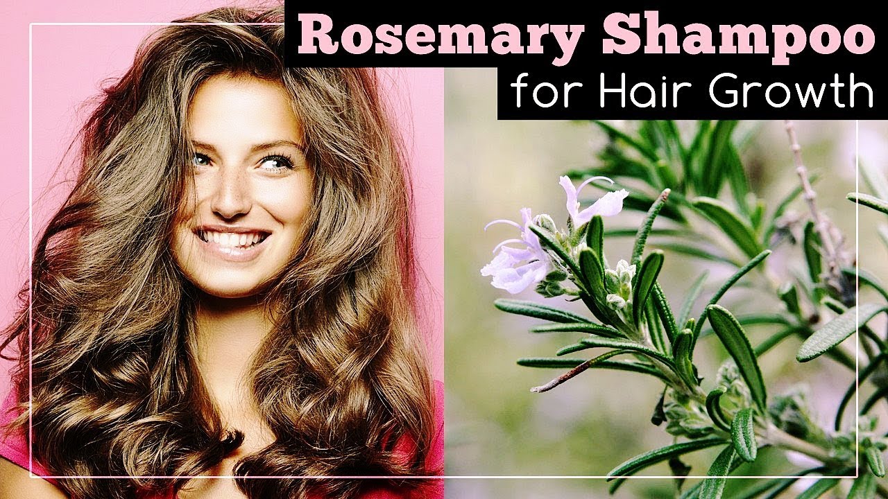 Rosemary For Hair Growth: Shampoo Recipe - YouTube