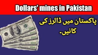 Dollars Smuggling from Pakistan | Soft Analysis by Saleem screenshot 4