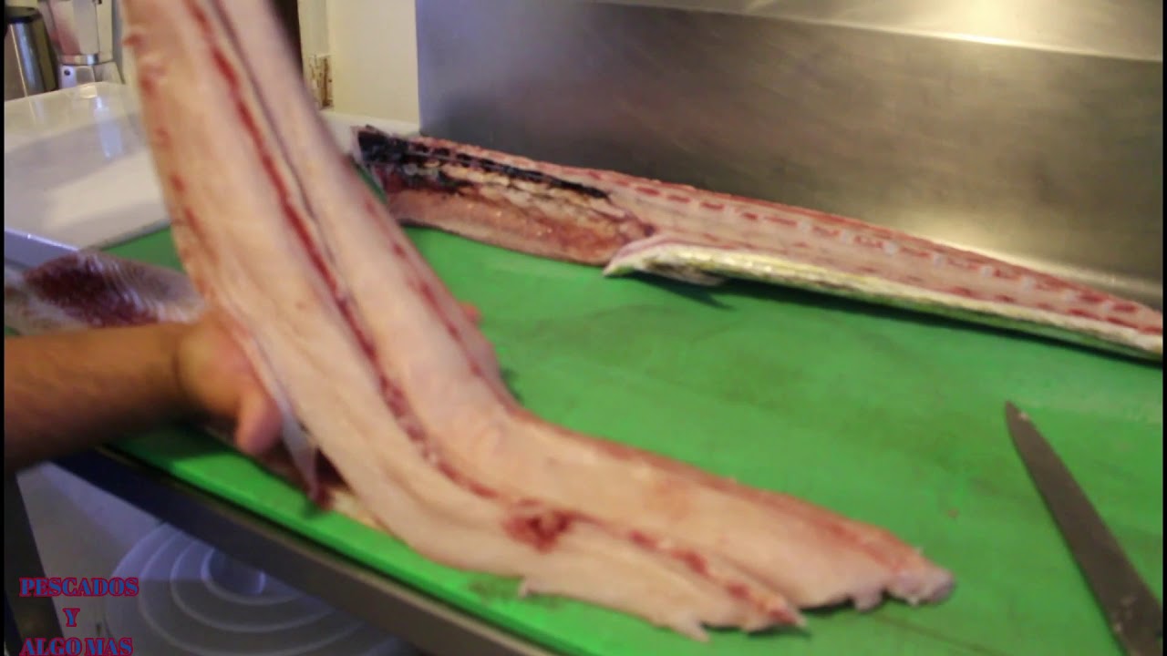 Como filetear un pescado,Dorado/te enseño a filetear un Dorado/cómo sacar el filete a un pescado